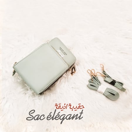 حقيبة الانيقة