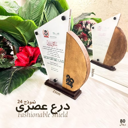 درع عصري 24