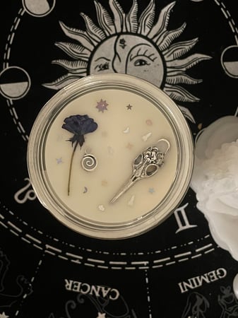 Bird skull candle