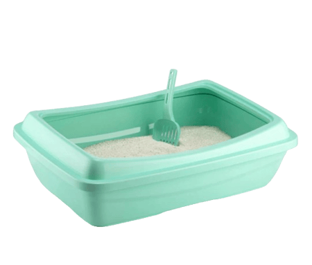 حوض رمل كبير للقطط لون اخضر