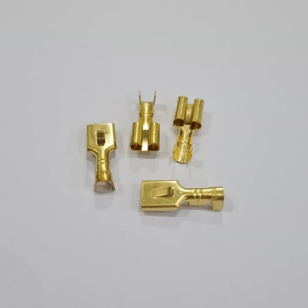 كلبس أنثى ب لسان ماليزي