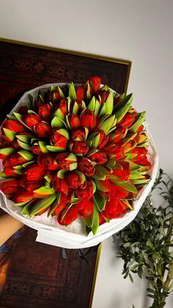 توليب احمر 100 حبه