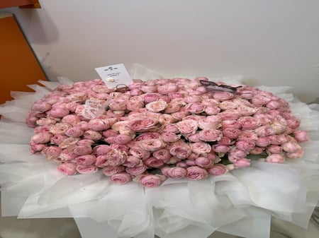 باقه بيوني بينك100 غصن