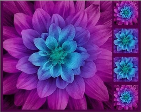 قطعة قماش - اللوتس Dream Big