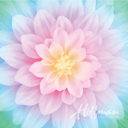 قطعة قماش - اللوتس Dream Big