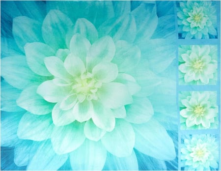 قطعة قماش - اللوتس Dream Big