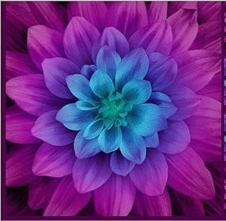 قطعة قماش - اللوتس Dream Big