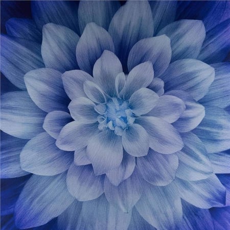 قطعة قماش - اللوتس Dream Big