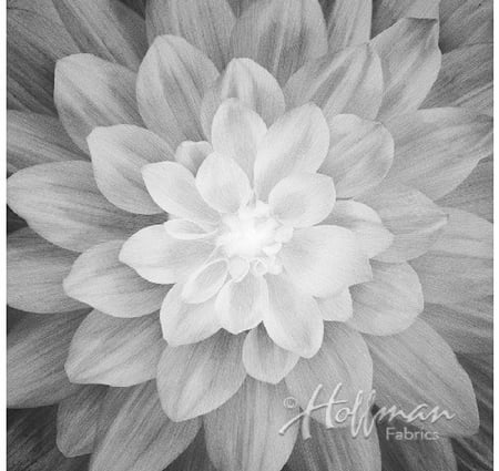 قطعة قماش - اللوتس Dream Big