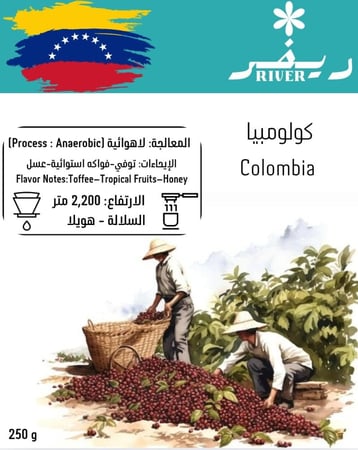 عرض حصري – بوكس القارات الثلاث