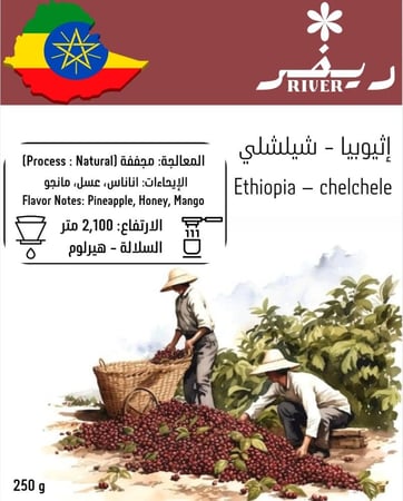 عرض حصري – بوكس القارات الثلاث