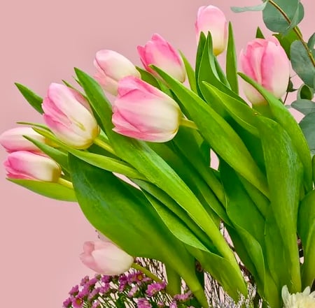 همسات الزمن والضحك | سلة ورد