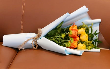 باقة شمس وهدوء