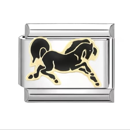 Black horse- حصان اسود