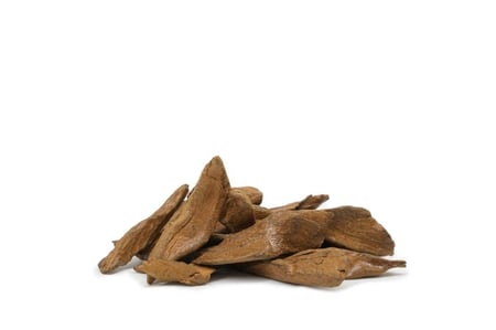 عود المطانيخ