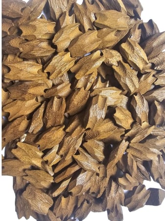 عود الفراشة