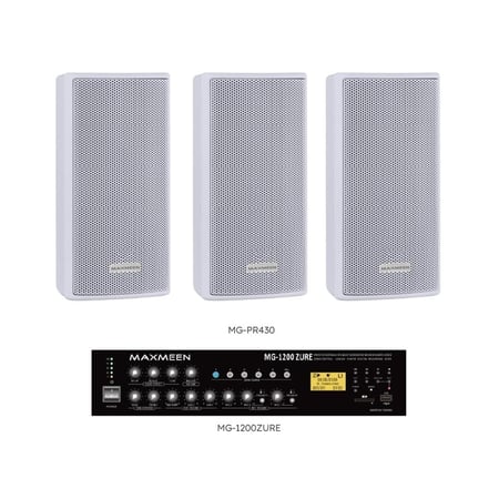 نظام صوتي سماعتين - 12 سماعة جدارية 30 وات ماكسمين حتى 120 وات