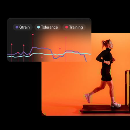 سوار هاين ڤيتا | Hain vita bracelet