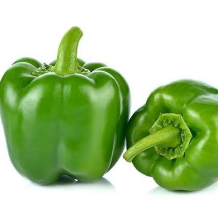 بذور فلفل رومي أخضر ( Capsicum annuum )
