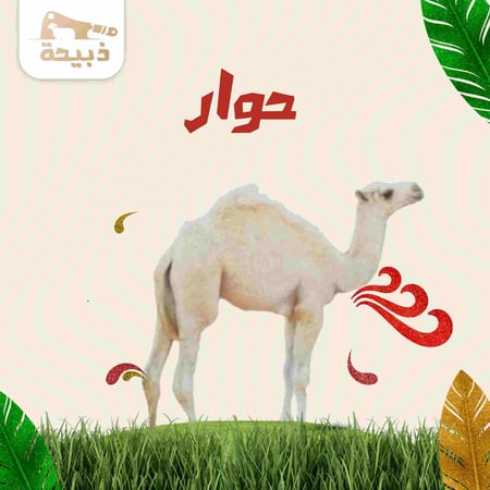 حوار - متجر ذبيحة