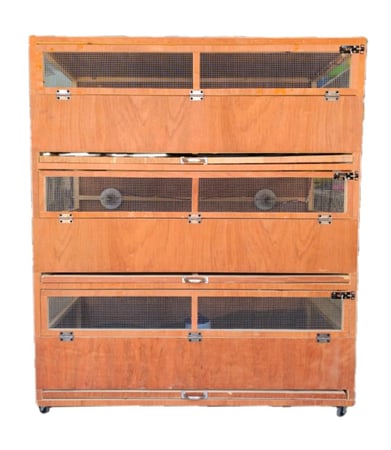 حضانة حاضنة صوص دواجن بط سمان ارانب