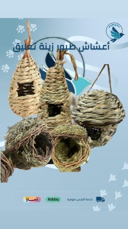 عش طيور الزينة خوص