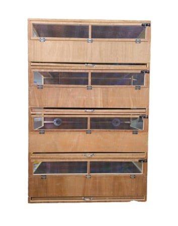 حضانة حاضنة صوص دواجن بط سمان ارانب