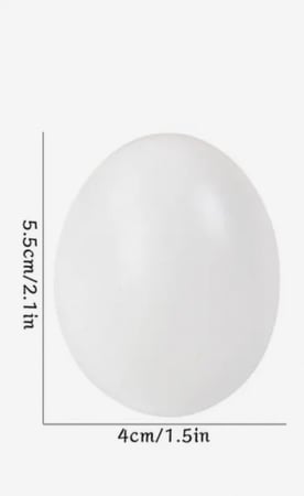 بيض دجاج بلاستيك