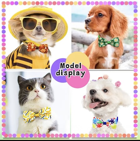 طوق للقطط والكلاب ربطة عنق