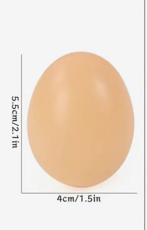 بيض دجاج بلاستيك