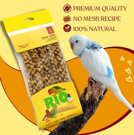 عناقيد نبات الدخن مكافأة للطيور 100g