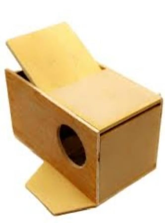 عش طيور الحب