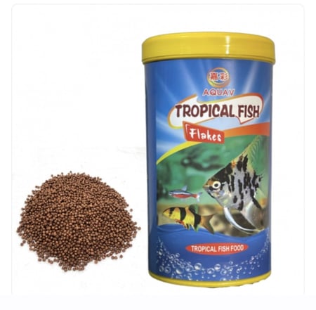 أكل سمك الزينة