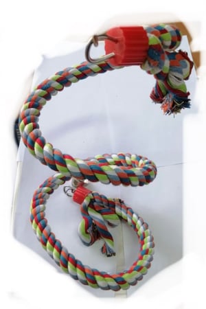 العاب ببغاوات 0053