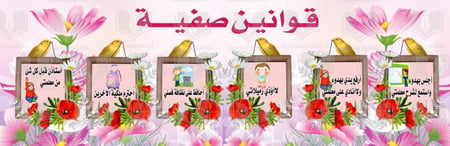 قوانين صفية