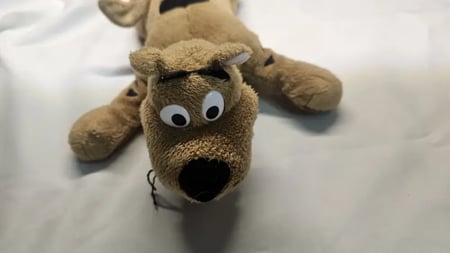 دمية سكوبي دو اصليه ورنر بروز