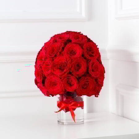 فازة العشاق