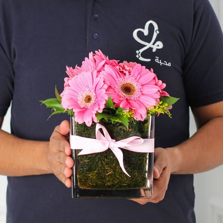 فازة الجربيرا وردي