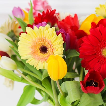 فازة الجربيرا والتوليب الملونه