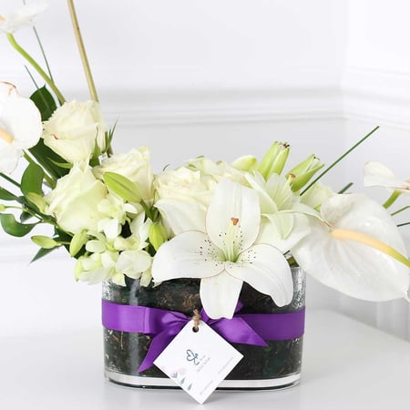 فازة الانتونيوم ابيض