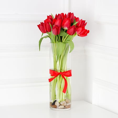 فازة التوليب الاحمر