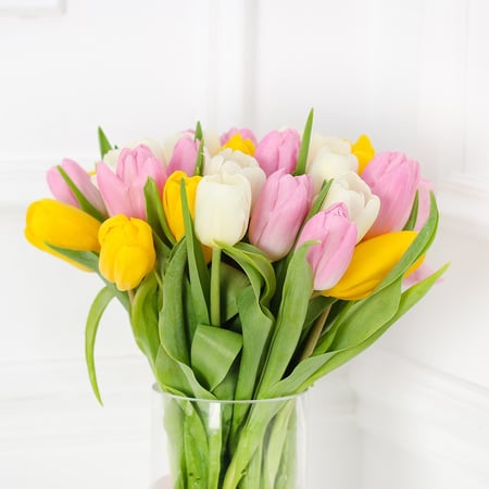 فازة التوليب الملونه