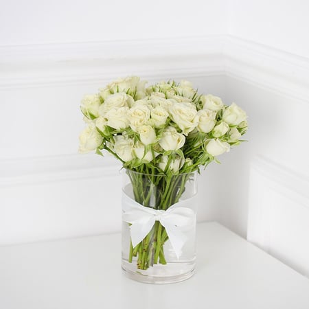 فازة بيبي جوري ابيض