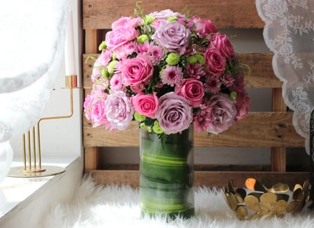 فازة الوئام