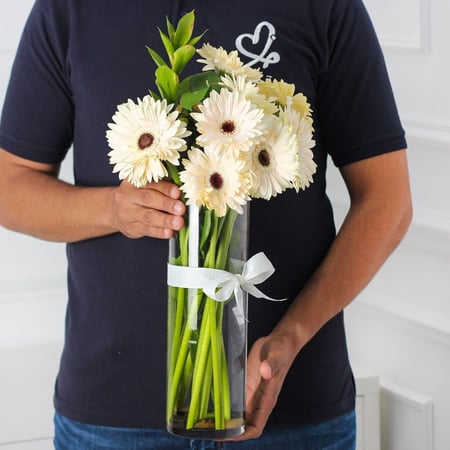 فازة الجربيرا ابيض