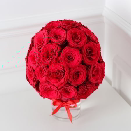 فازة العشاق