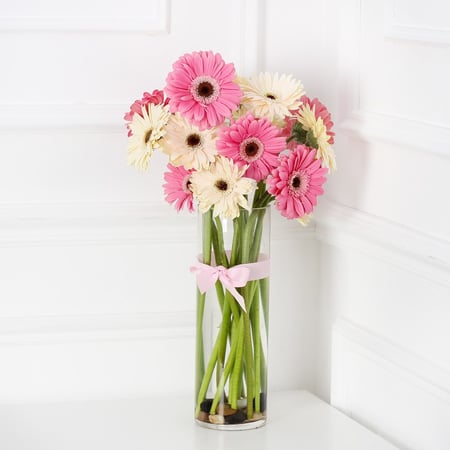 فازة الجربيرا وردي وابيض