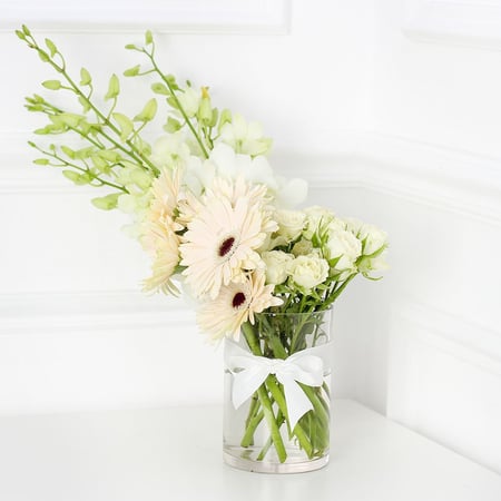 فازة البراء