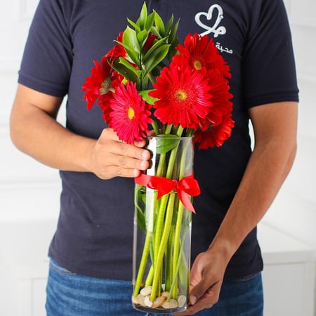 فازة الجربيرا احمر