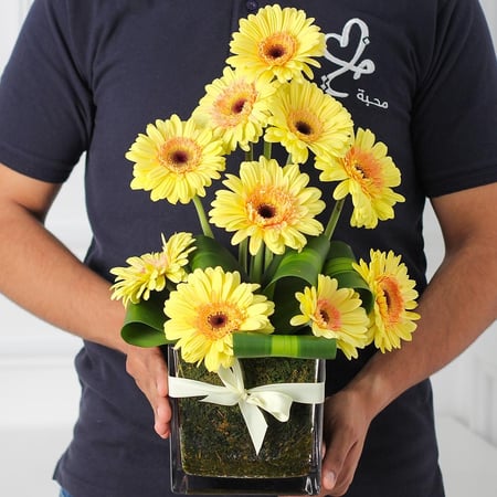 فازة الجربيرا اصفر